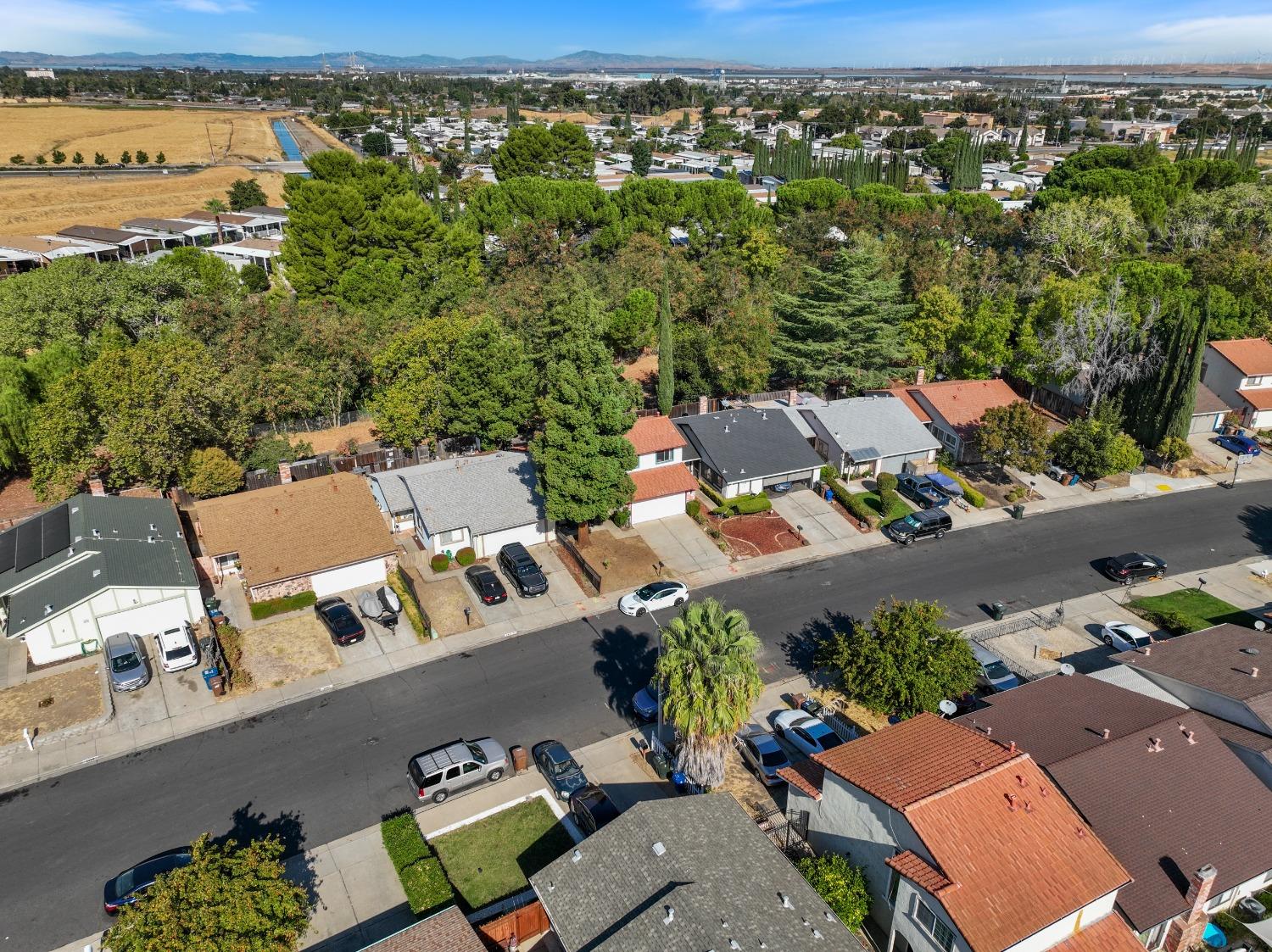 2412 Sequoia Drive