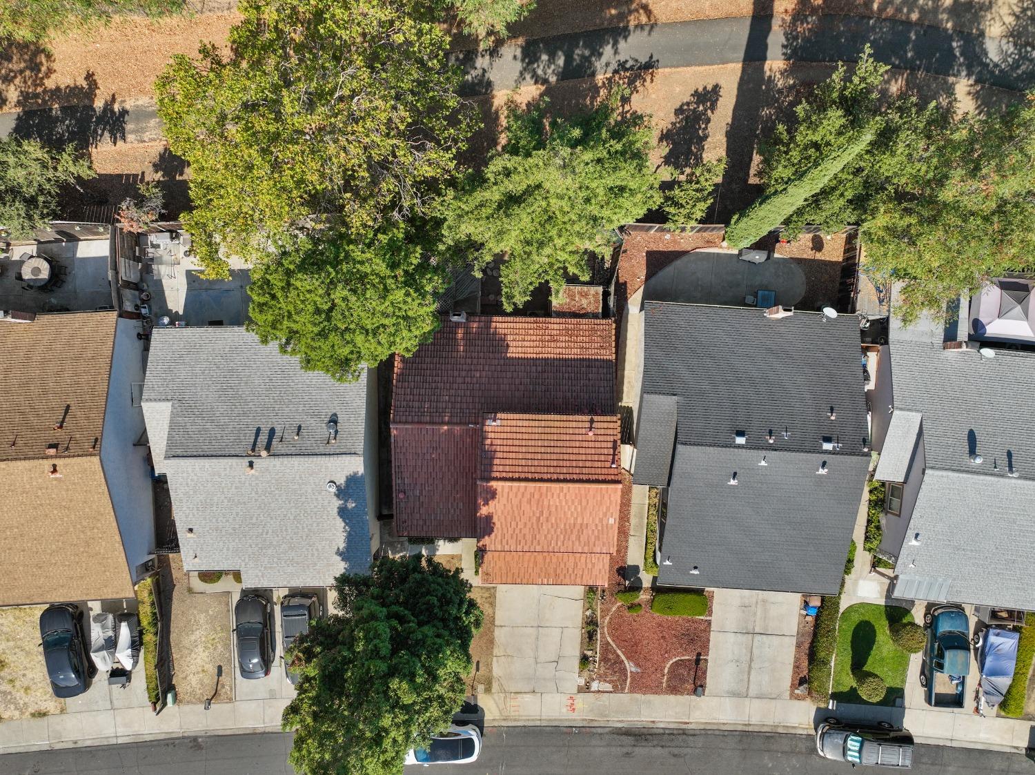 2412 Sequoia Drive