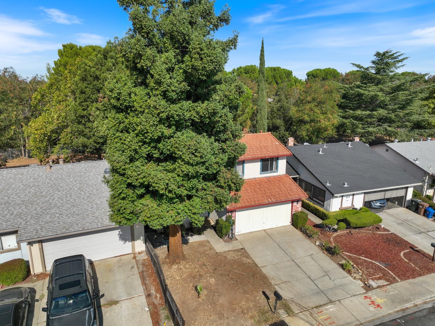 2412 Sequoia Drive