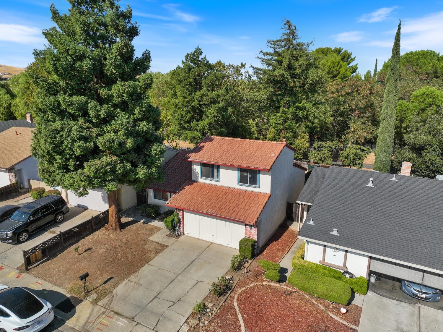 2412 Sequoia Drive