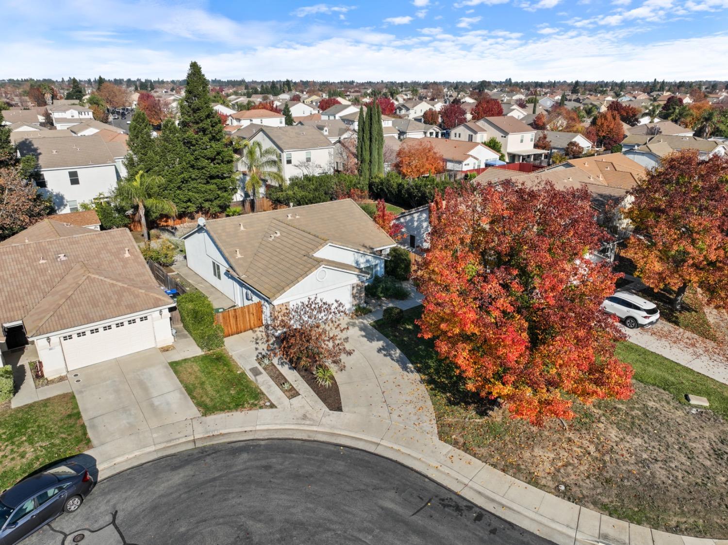9805 Savonna Court