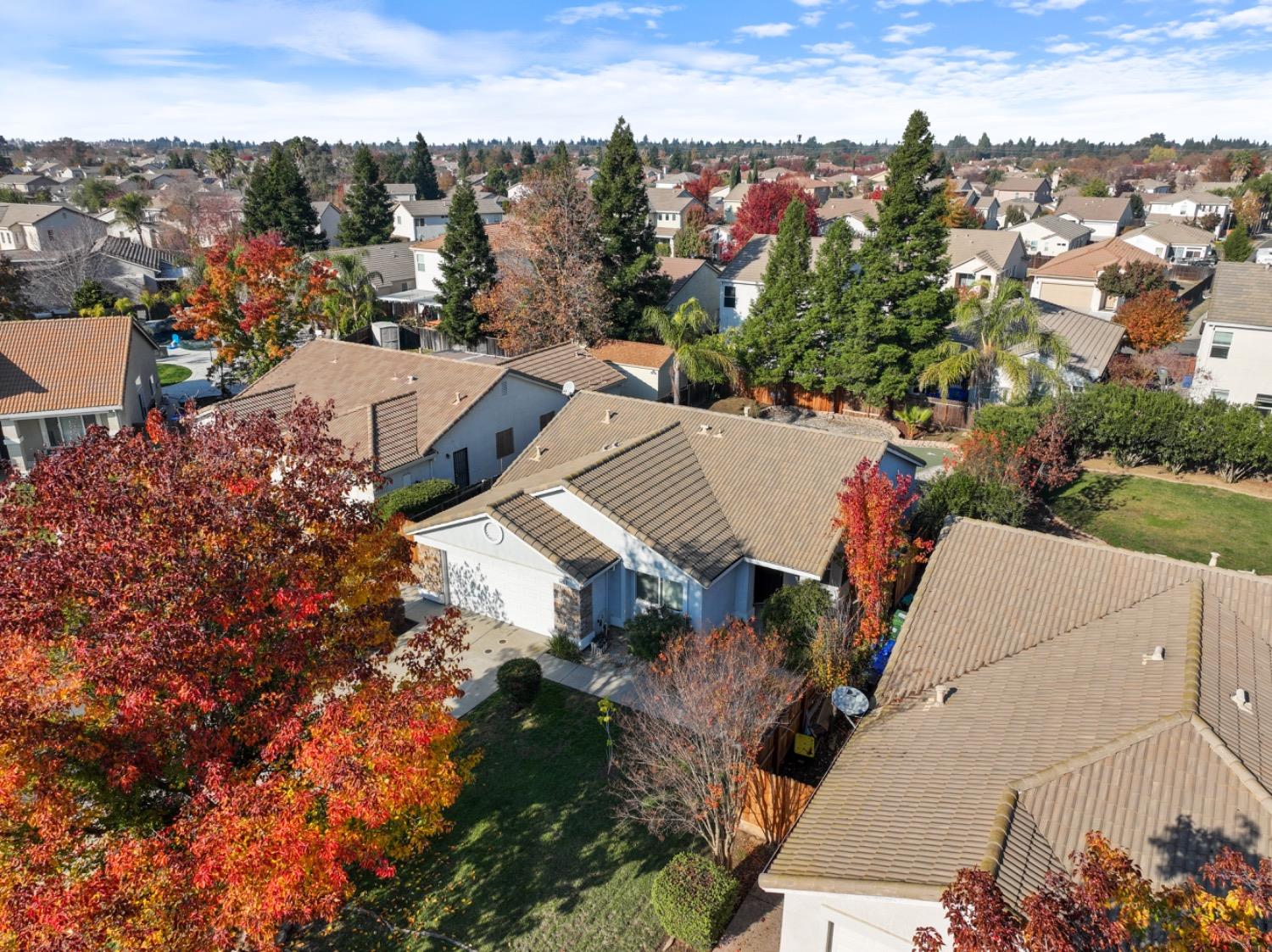 9805 Savonna Court