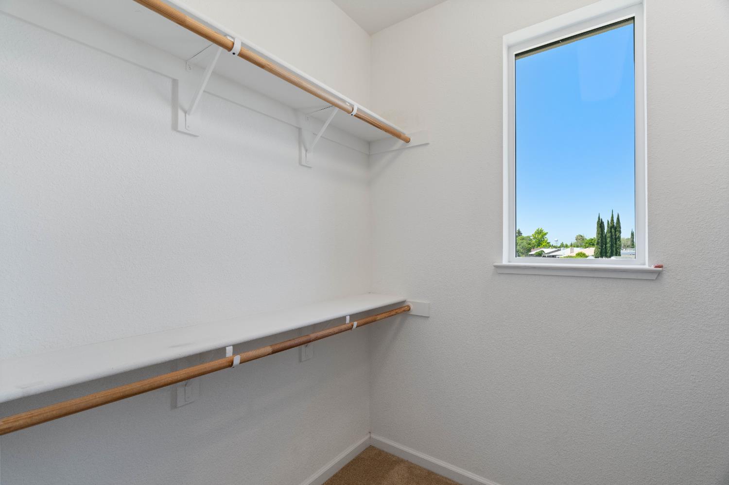 7753 Finnhorse Way
