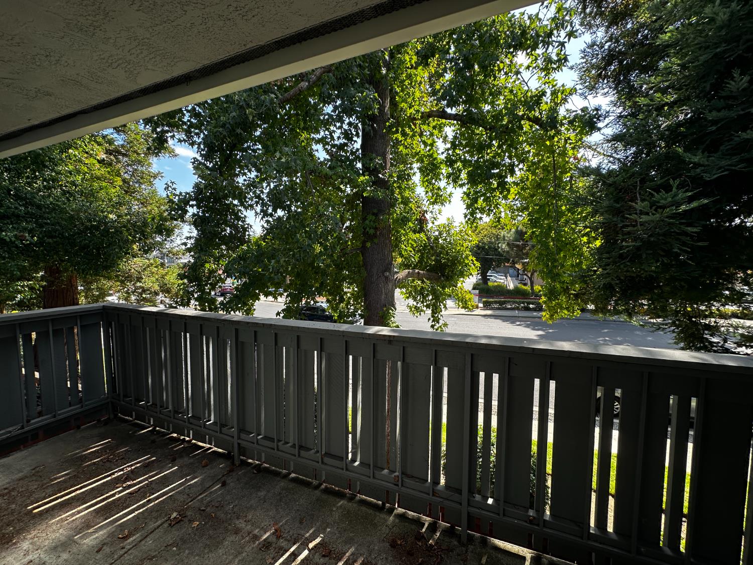 7323 Starward Drive 21
