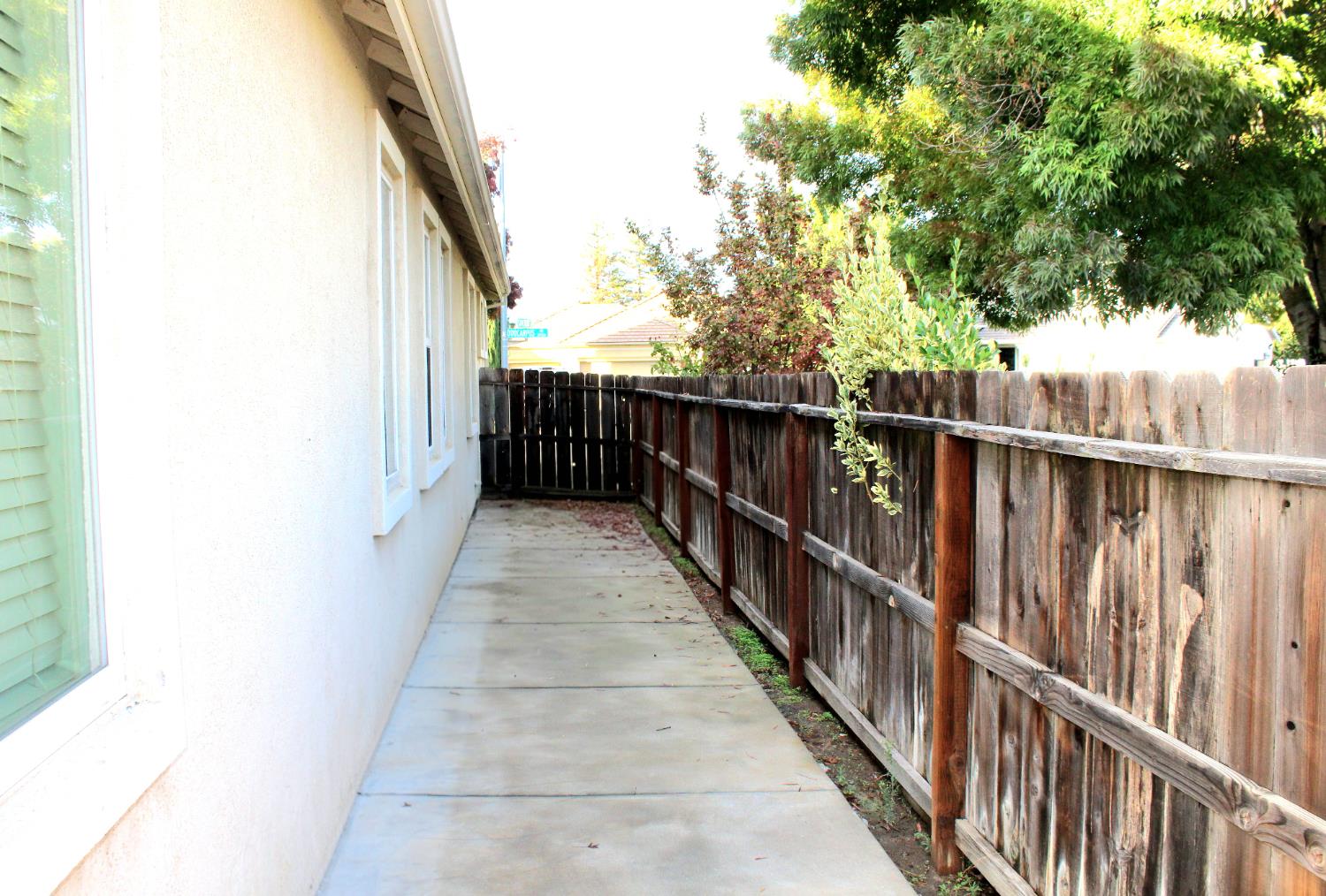 3940 Podocarpus Drive