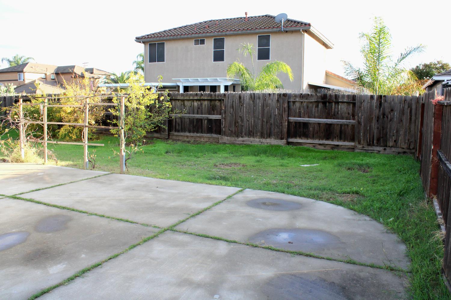 3940 Podocarpus Drive