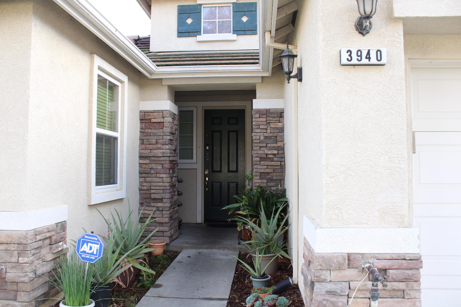 3940 Podocarpus Drive