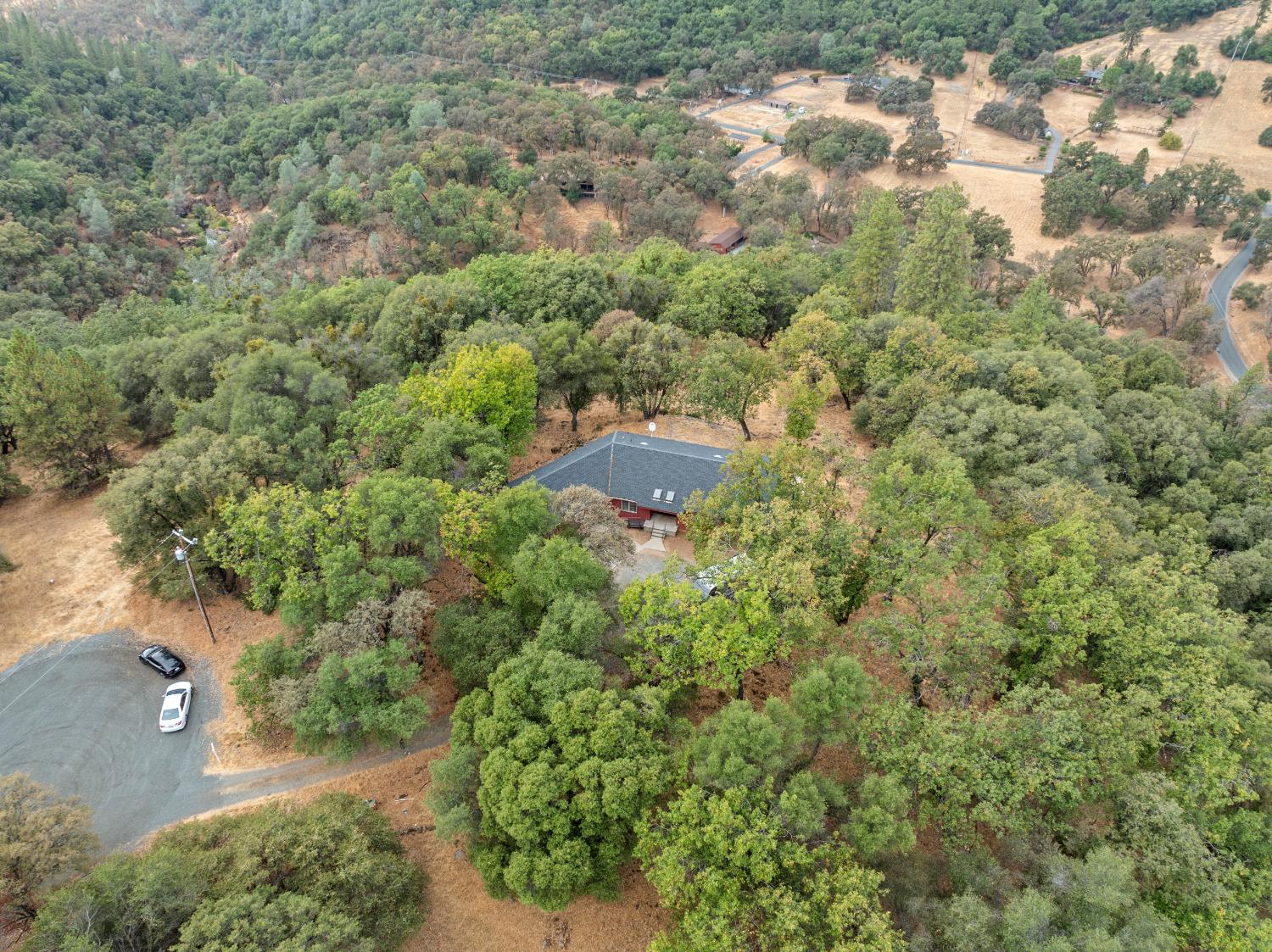 11796 Palomino Place
