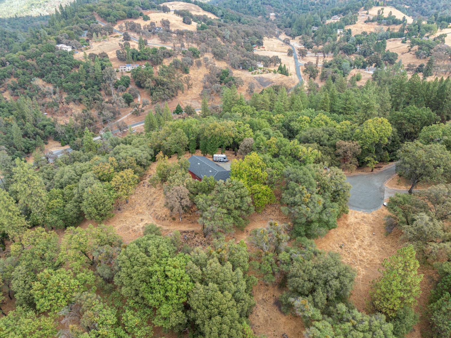 11796 Palomino Place