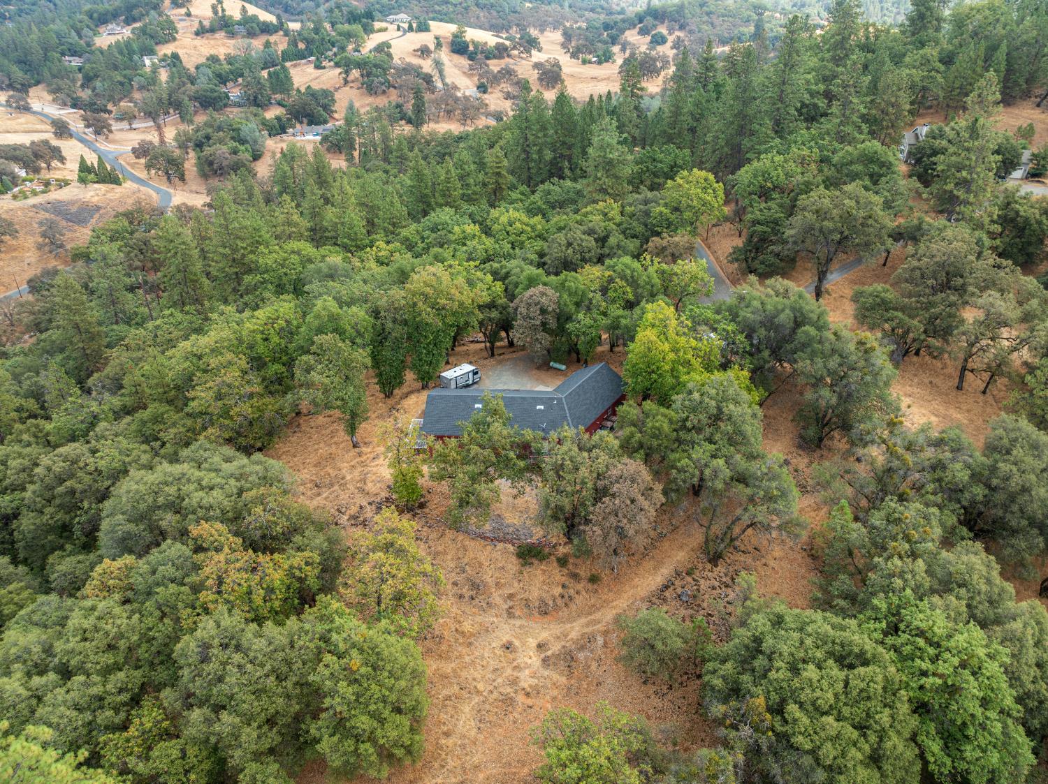 11796 Palomino Place
