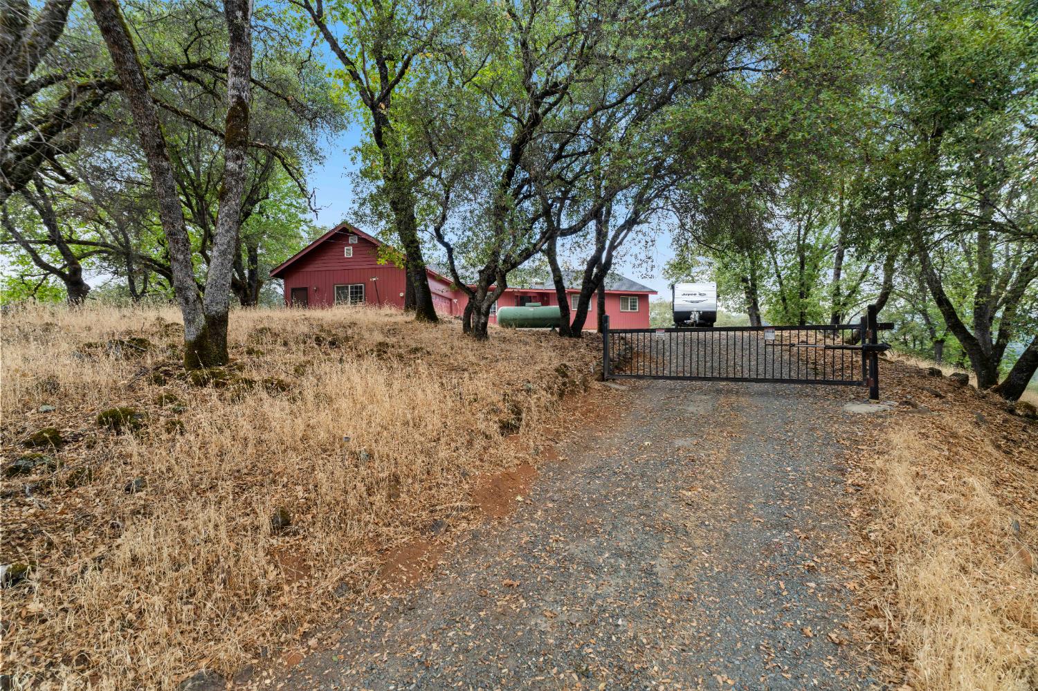 11796 Palomino Place