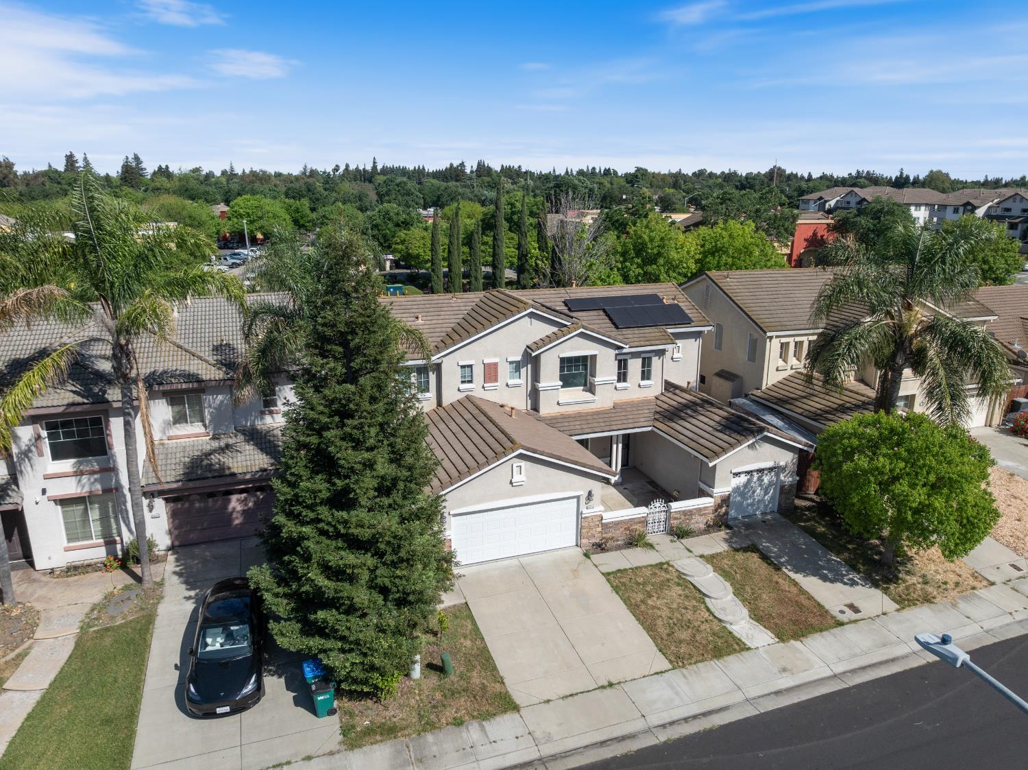 9534 Palazzo Drive