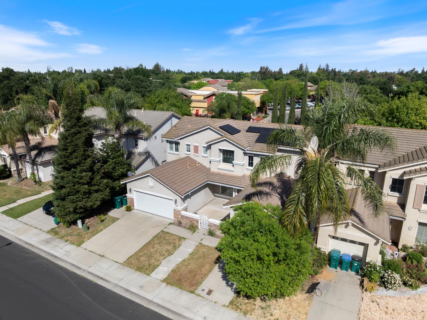 9534 Palazzo Drive