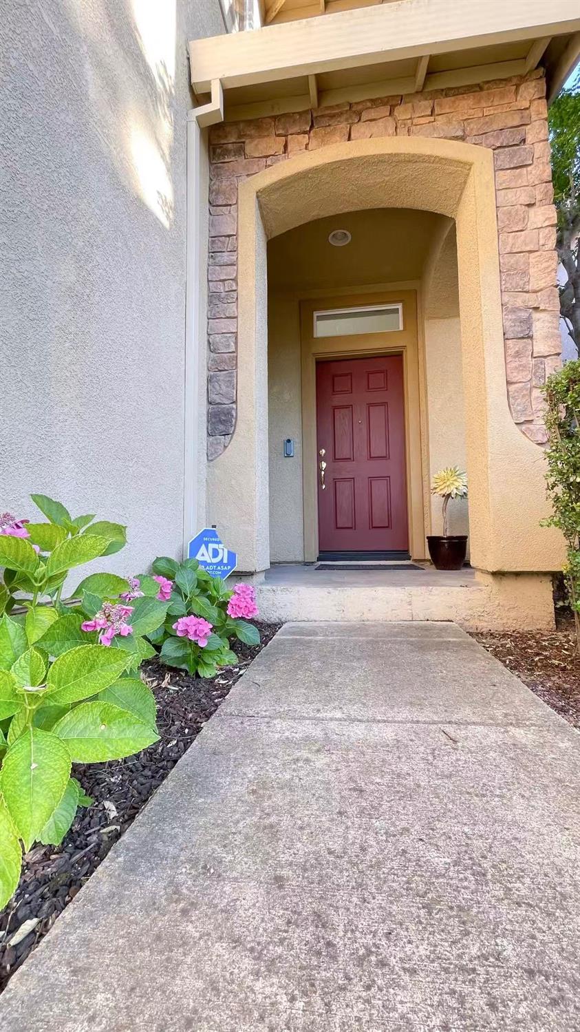 2844 Myotis Drive