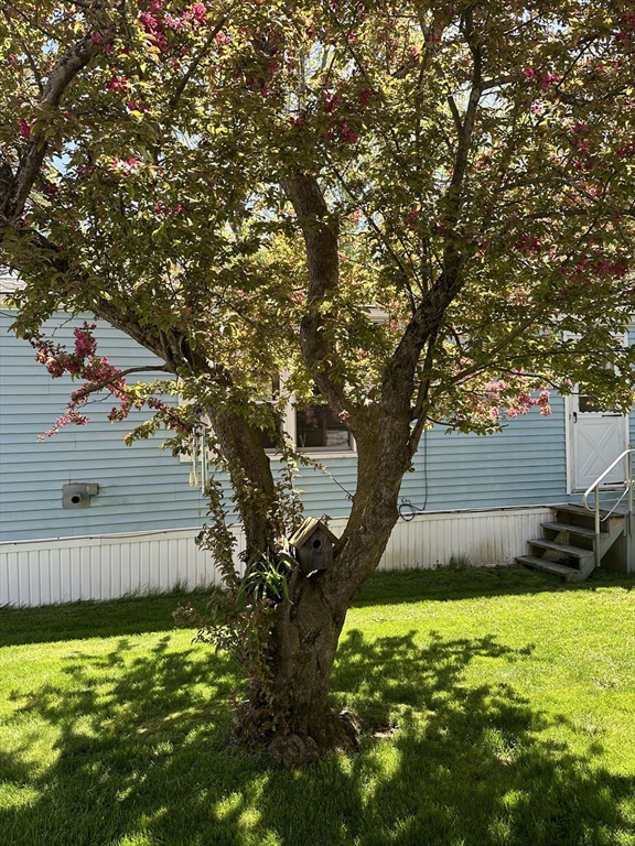 42 Adams Rd # 3