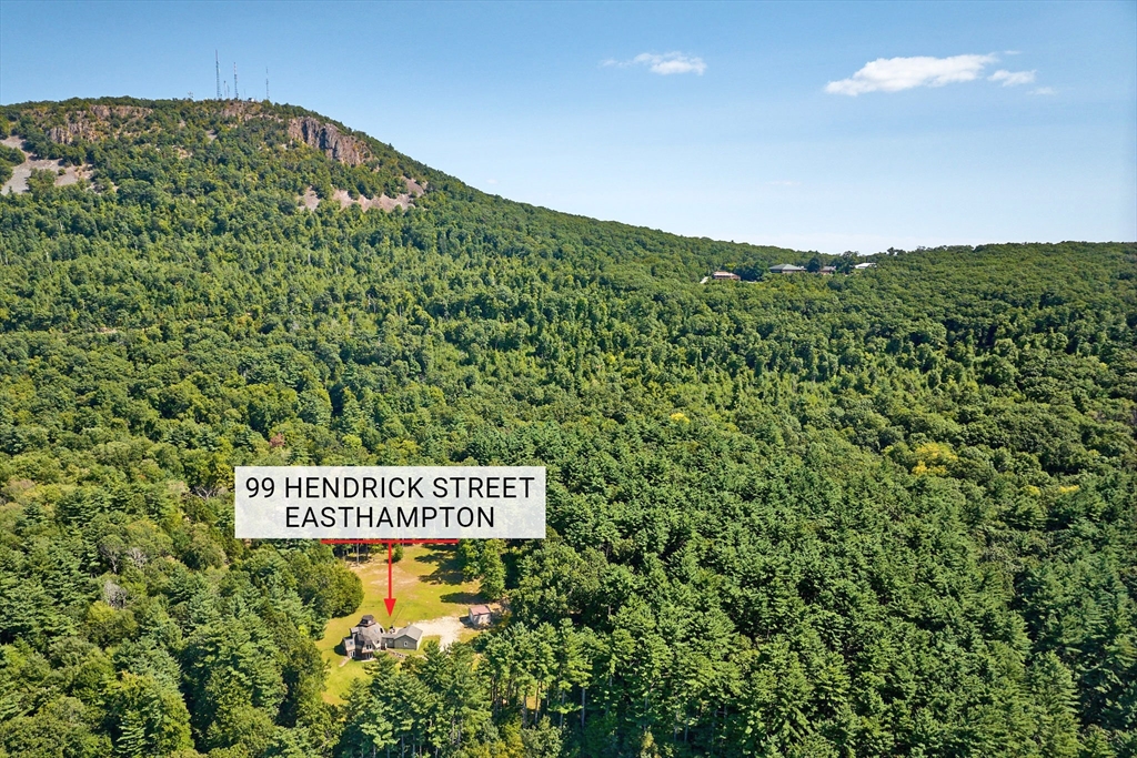 99 Hendrick St.