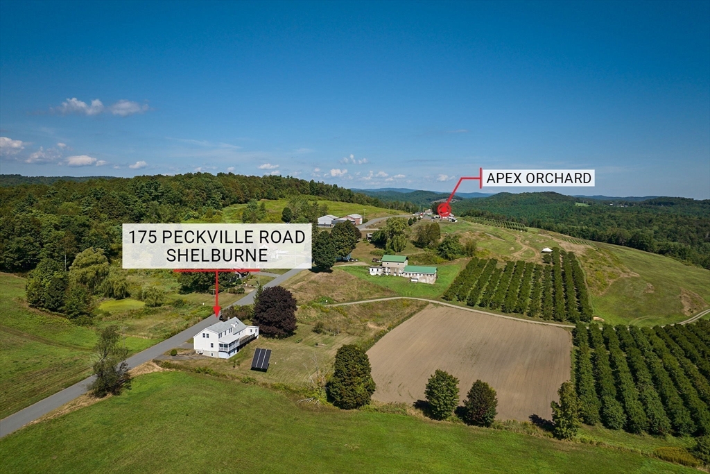 175 Peckville Road
