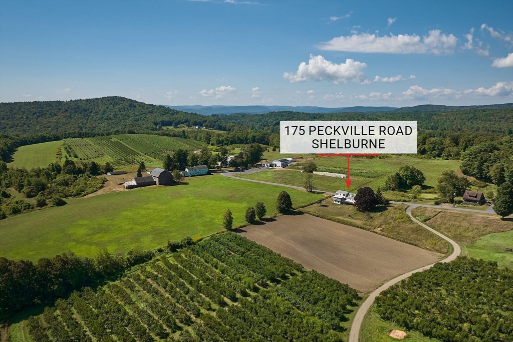 175 Peckville Road