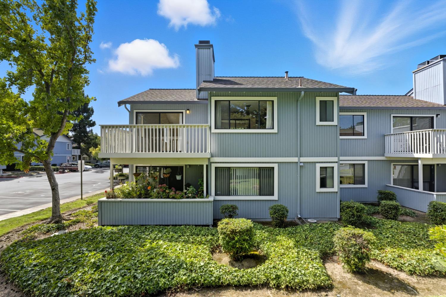 34648 Musk Terrace