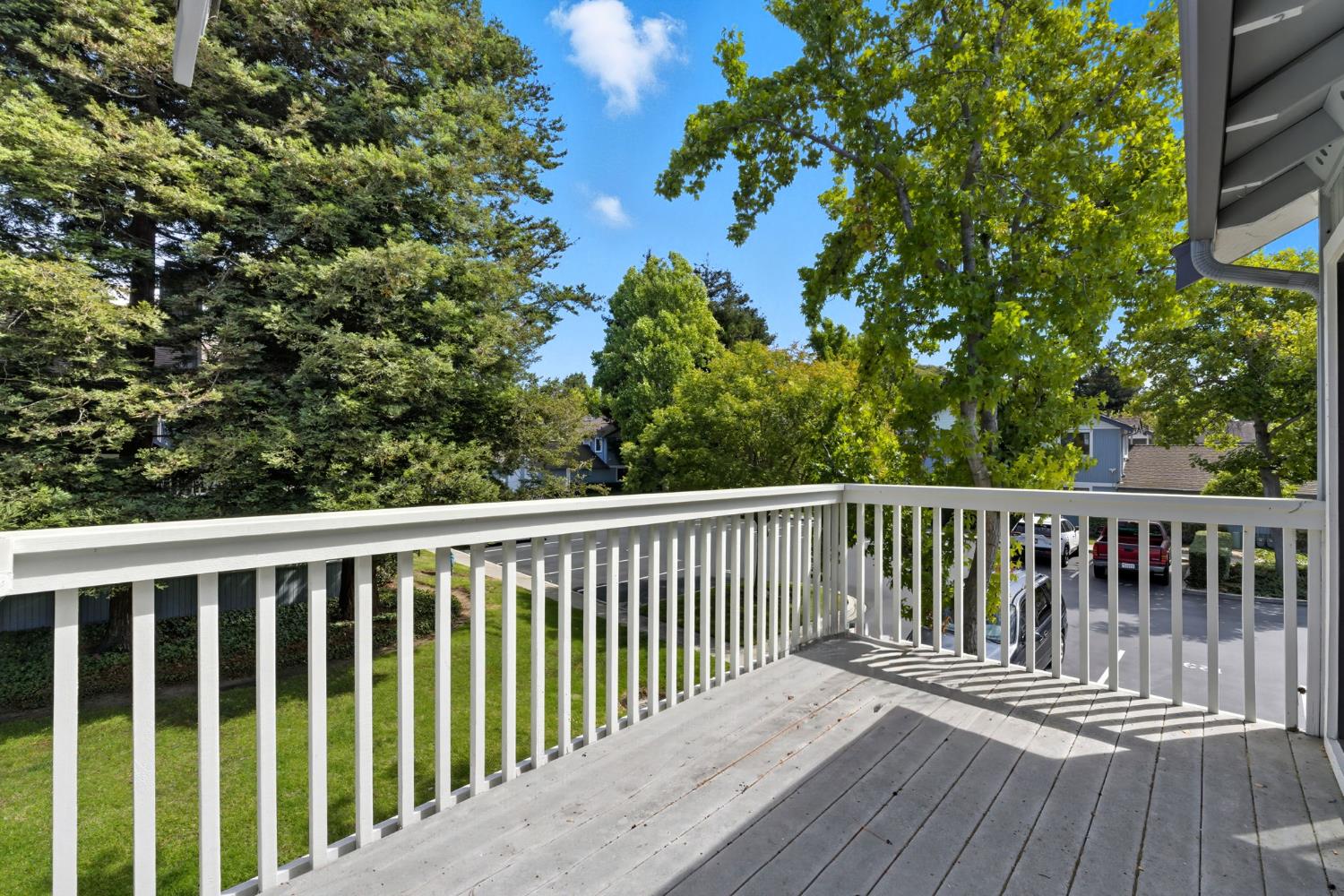 34648 Musk Terrace