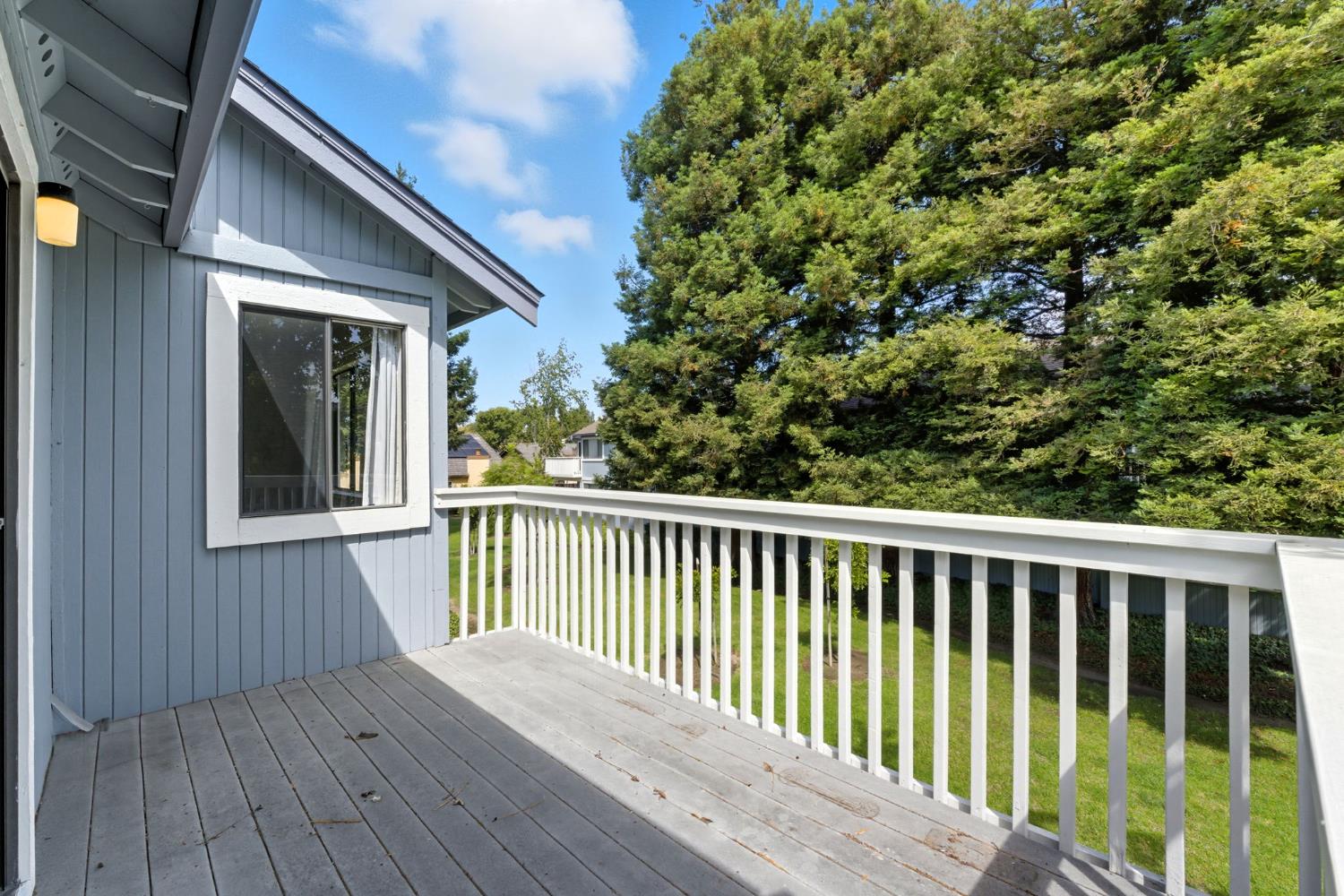 34648 Musk Terrace