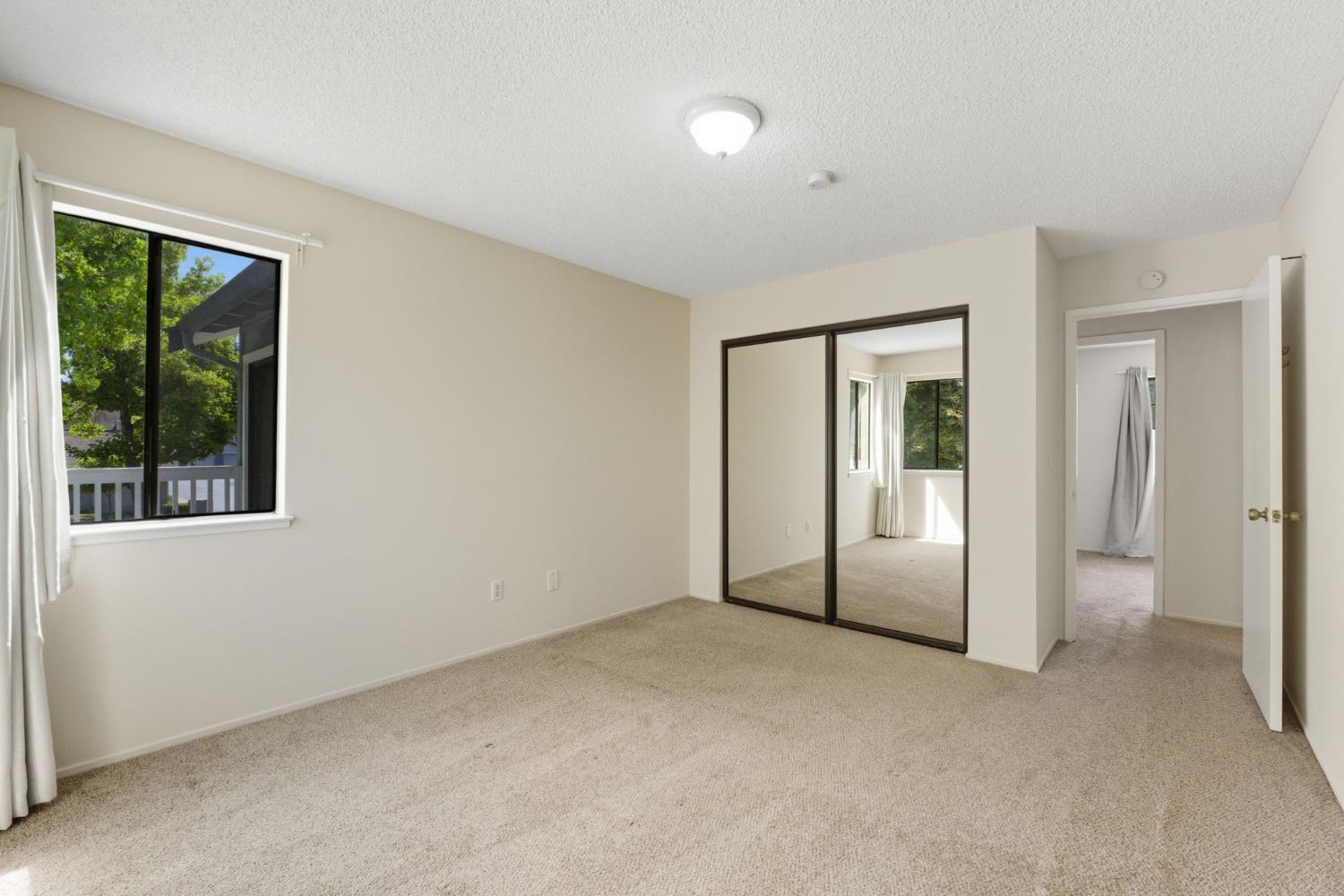 34648 Musk Terrace