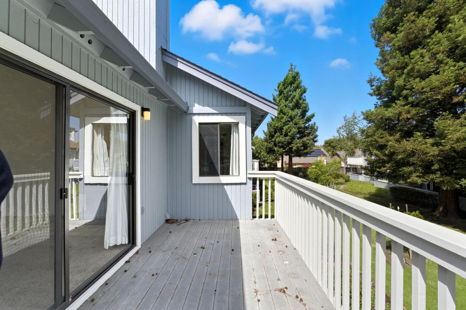 34648 Musk Terrace