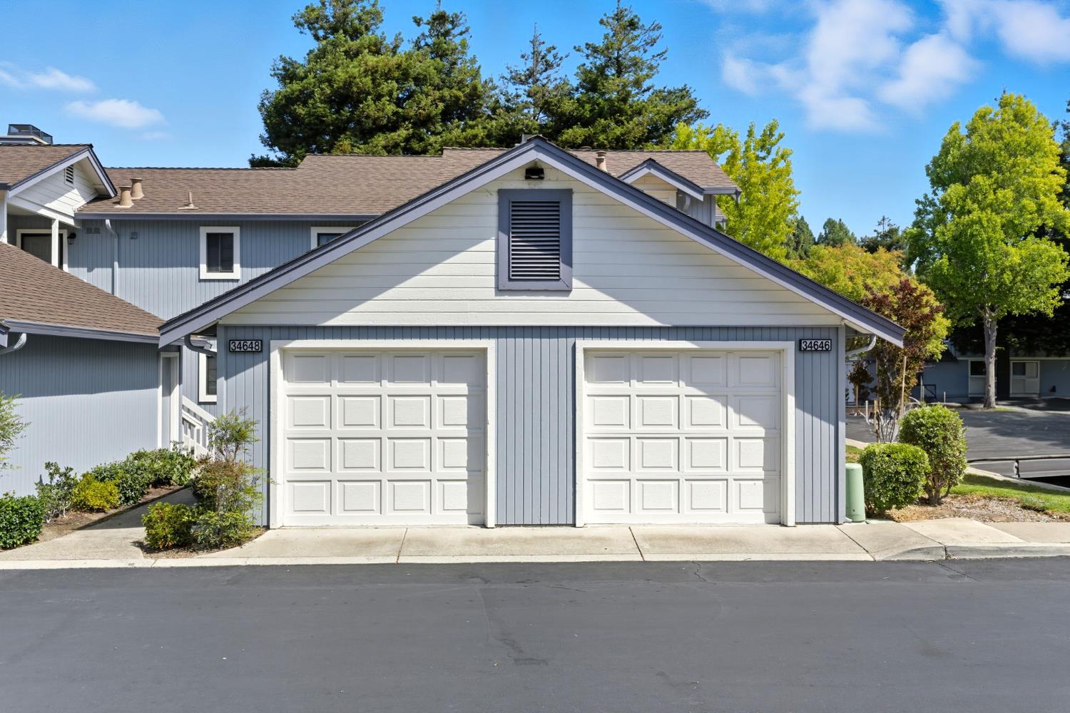 34648 Musk Terrace