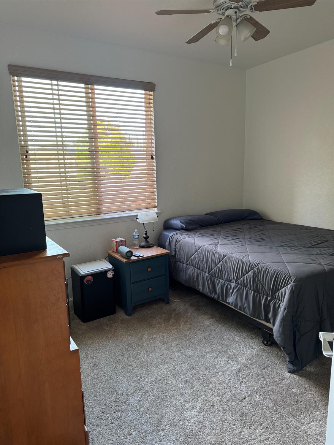 10647 spring creek Place