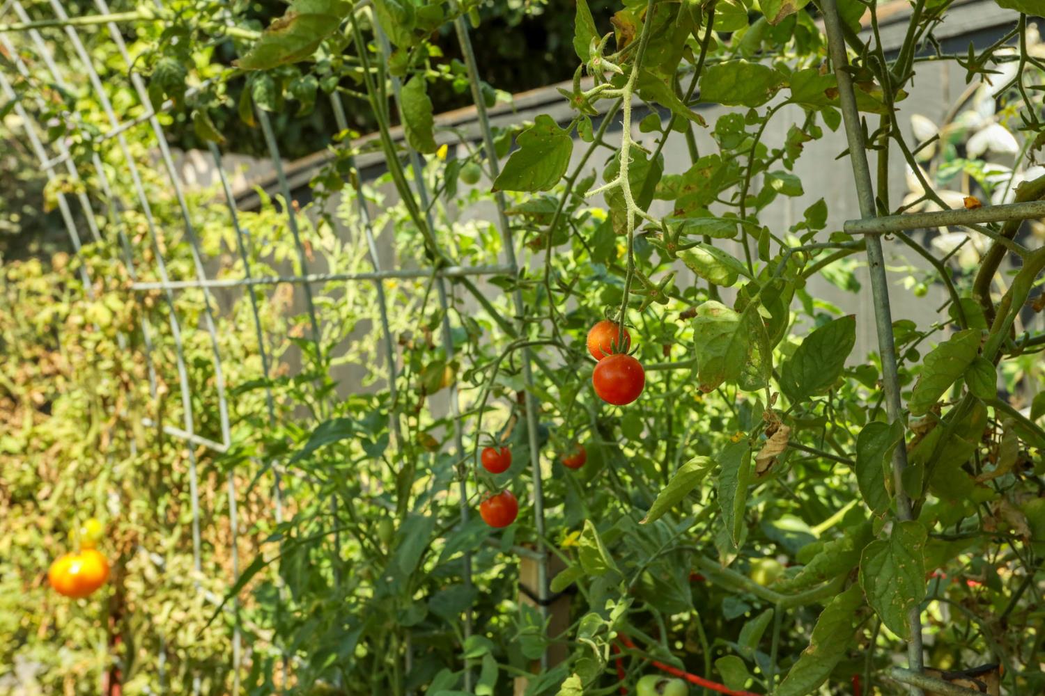 3533 Harpers Ferry Drive