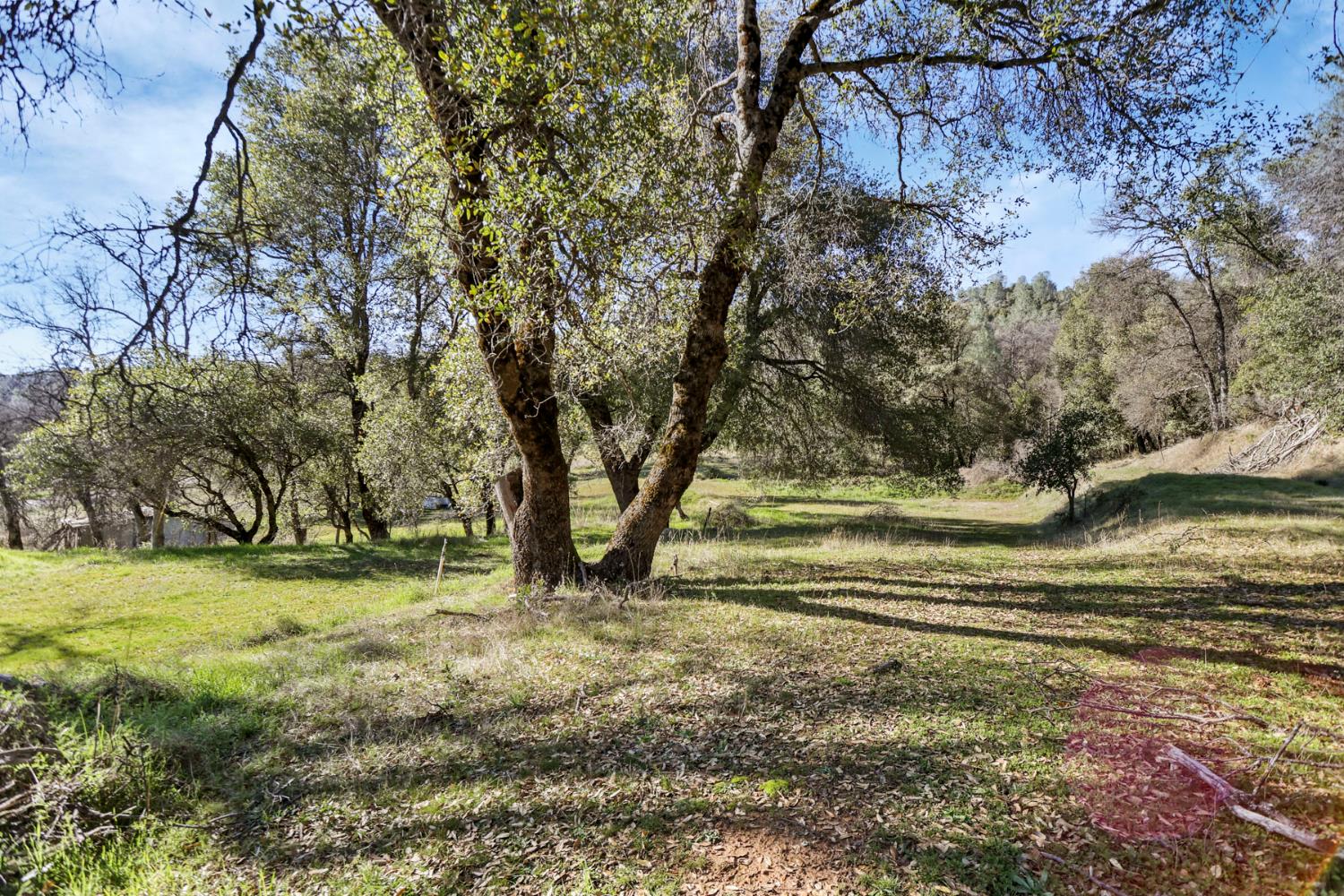 20200 Tuolumne Road