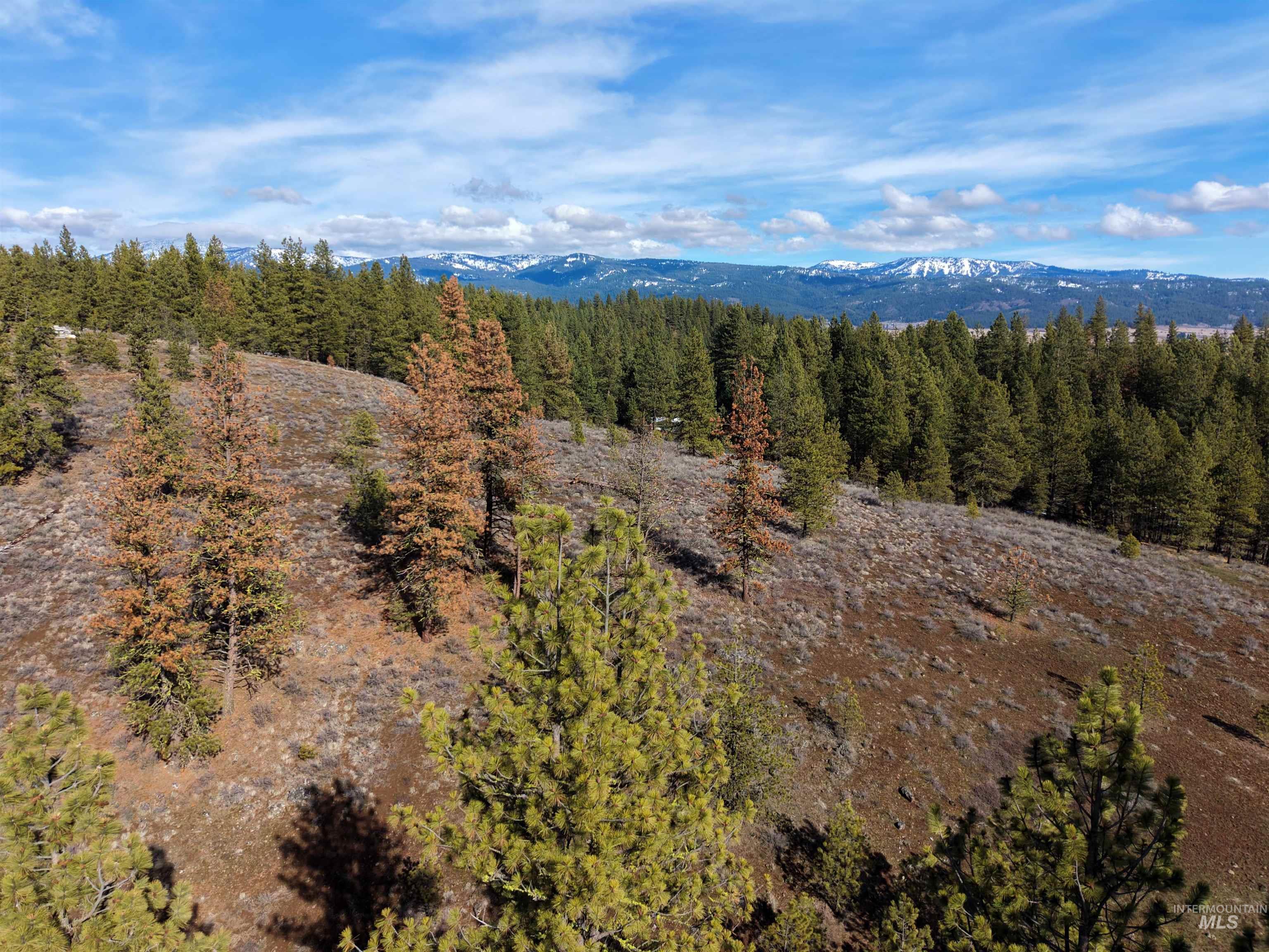 Lot 6 Bloc Van Dorn Estates
