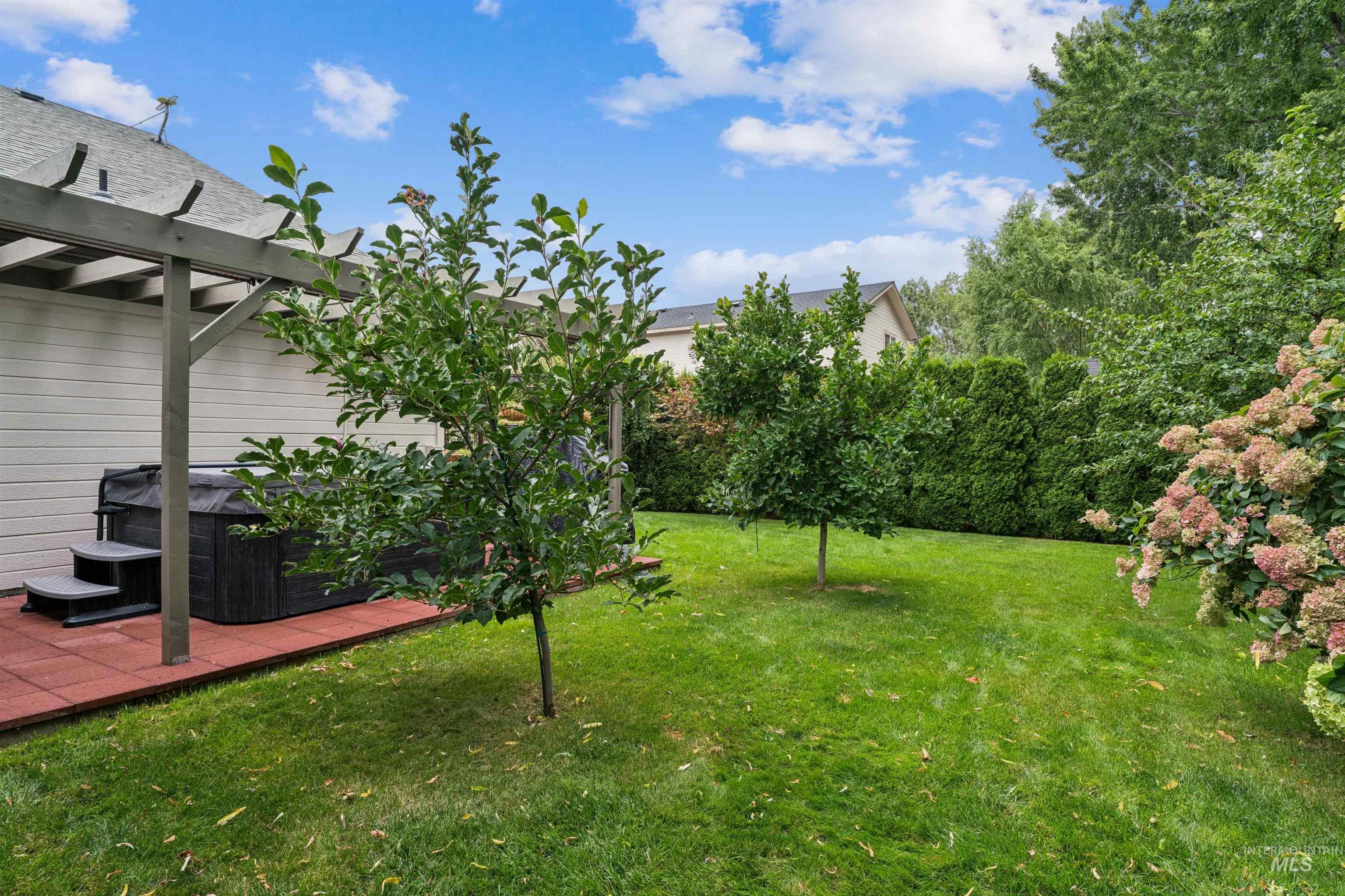 Backyard with a covered hot tub patio, open lawn, young trees, and flowering shrubs.