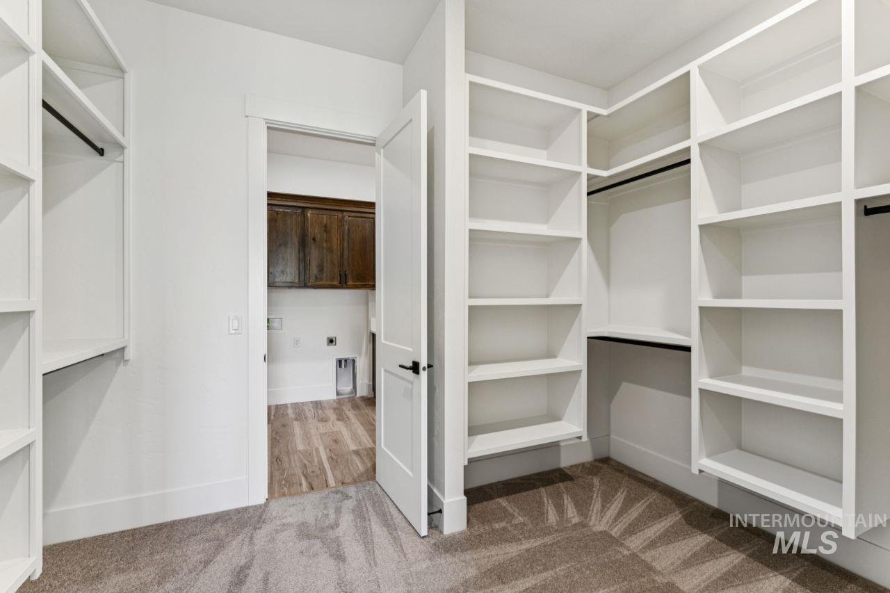 Walk-in closet with extensive white built-in shelving and carpeted floor.