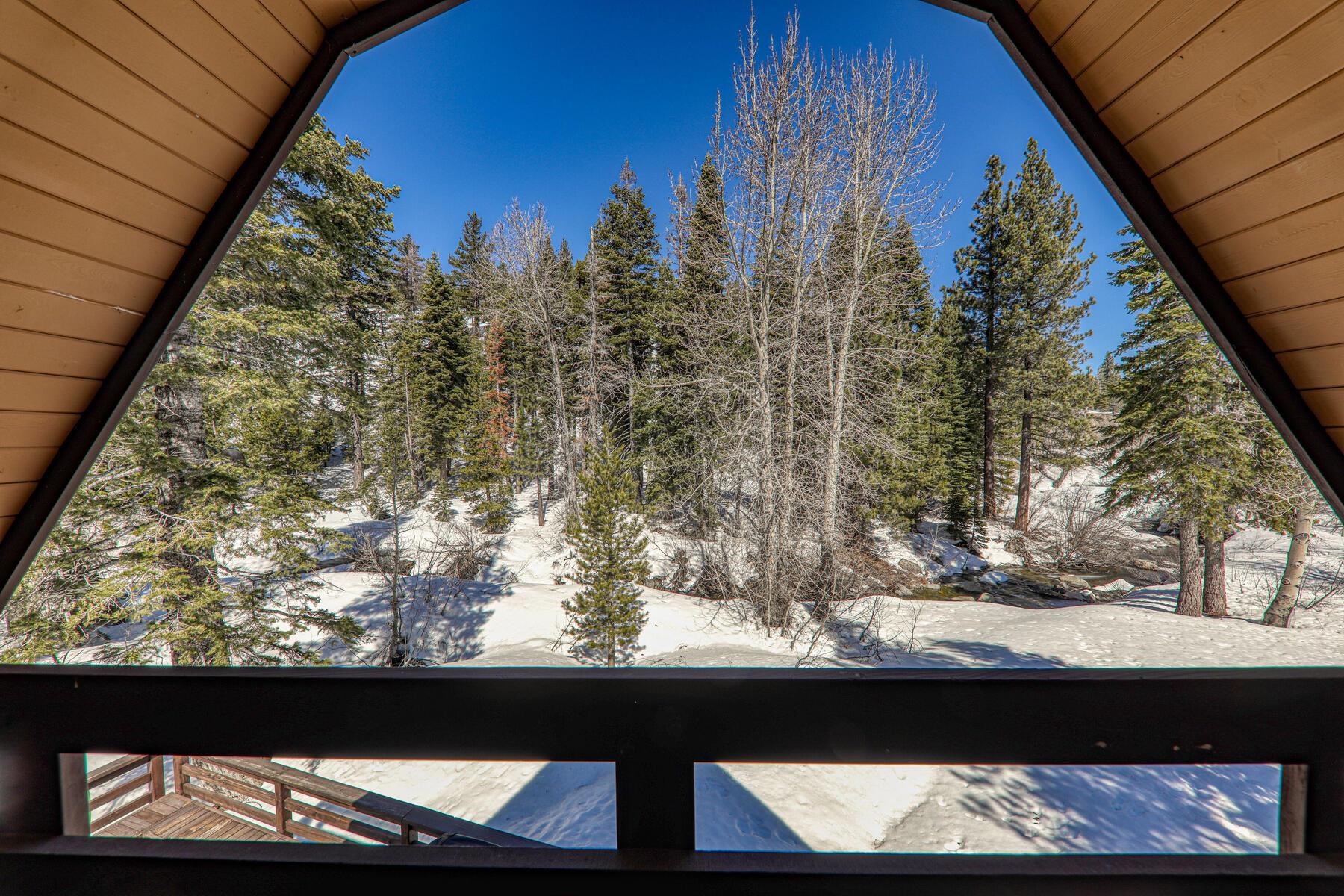 1314 Mineral Springs Trail