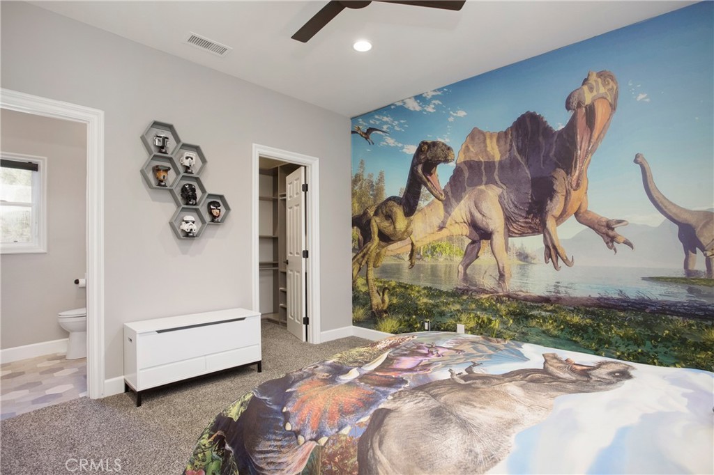 31171 Old San Juan Road