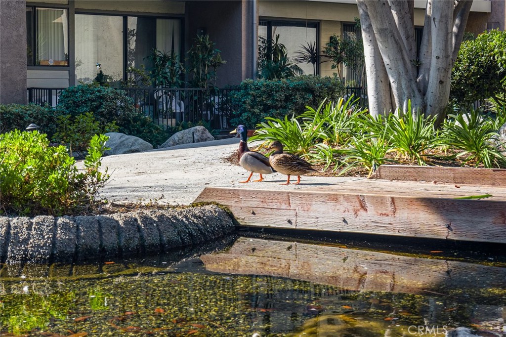 10591 Lakeside Drive S D-198