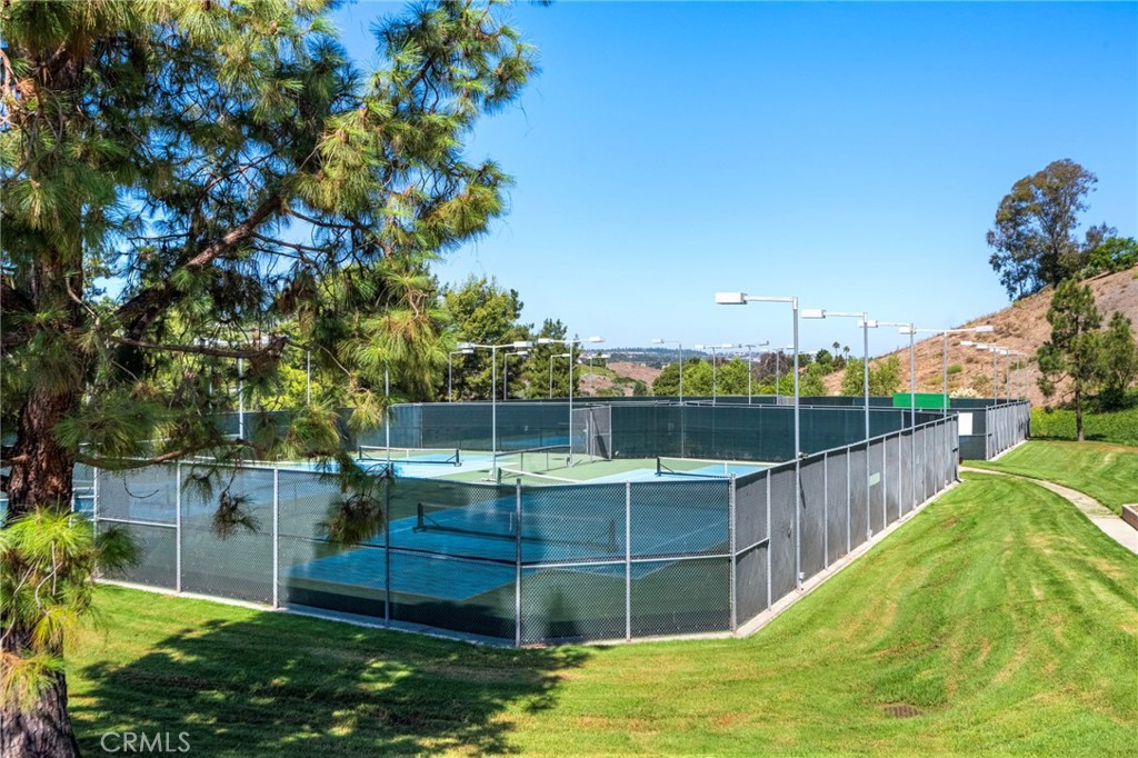 23961 Dovekie Circle