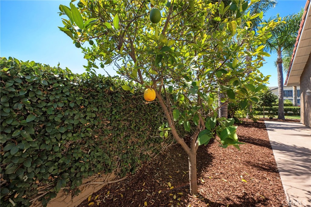 23961 Dovekie Circle