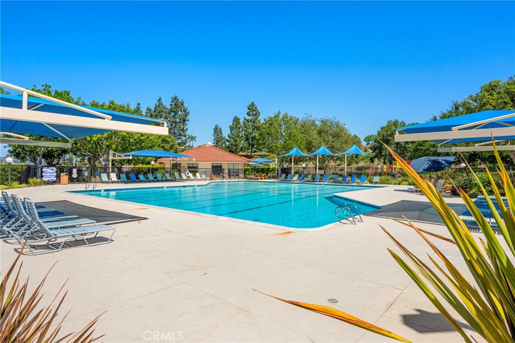 23961 Dovekie Circle