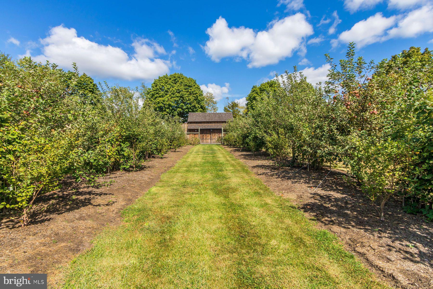 3648 Fretz Valley Rd
