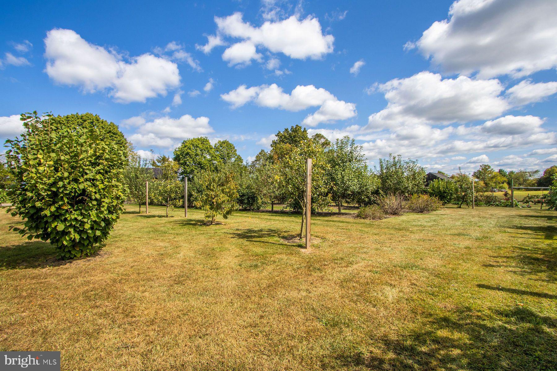 3648 Fretz Valley Rd