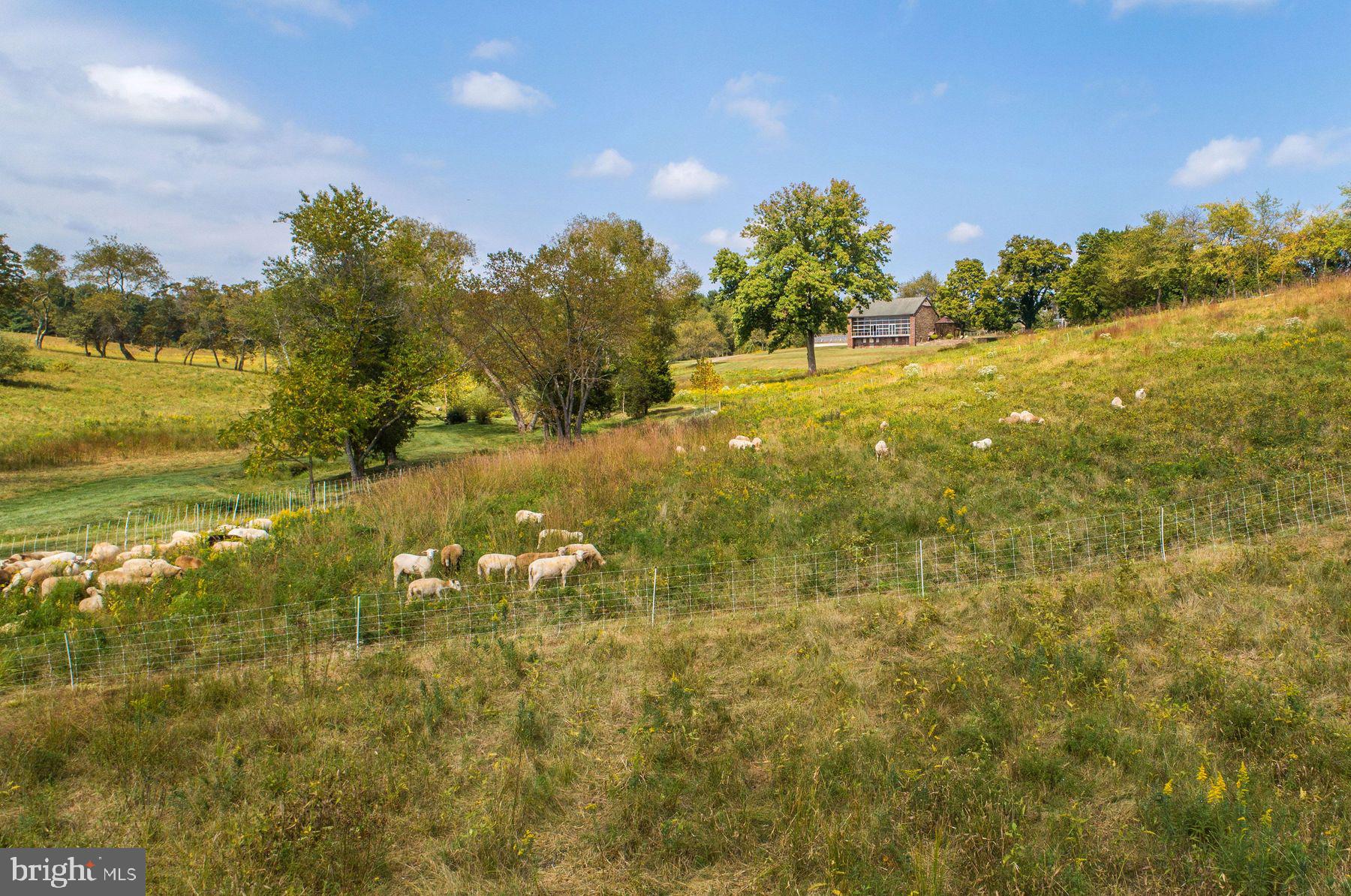 3648 Fretz Valley Rd