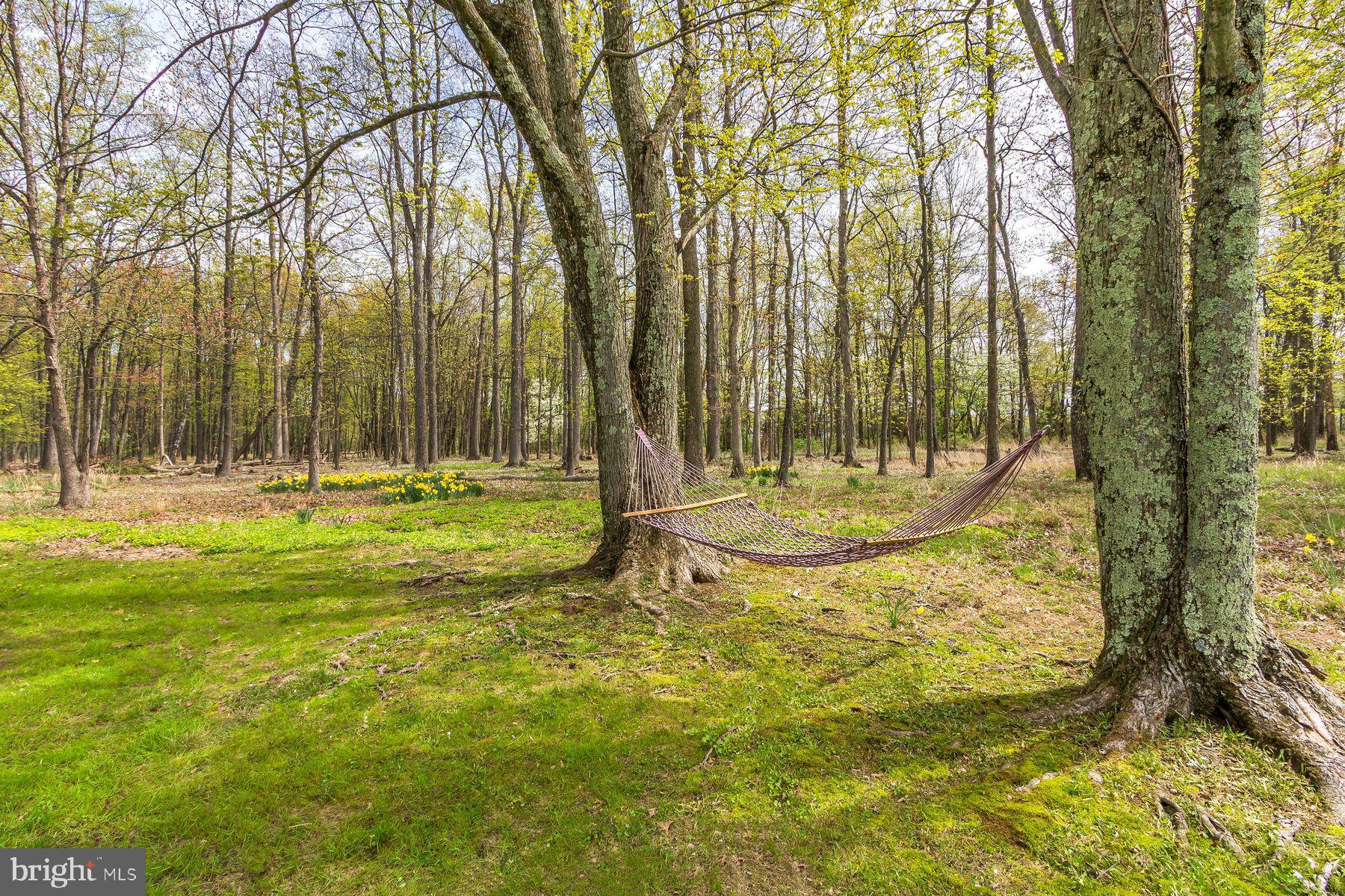 161 Dark Hollow Rd