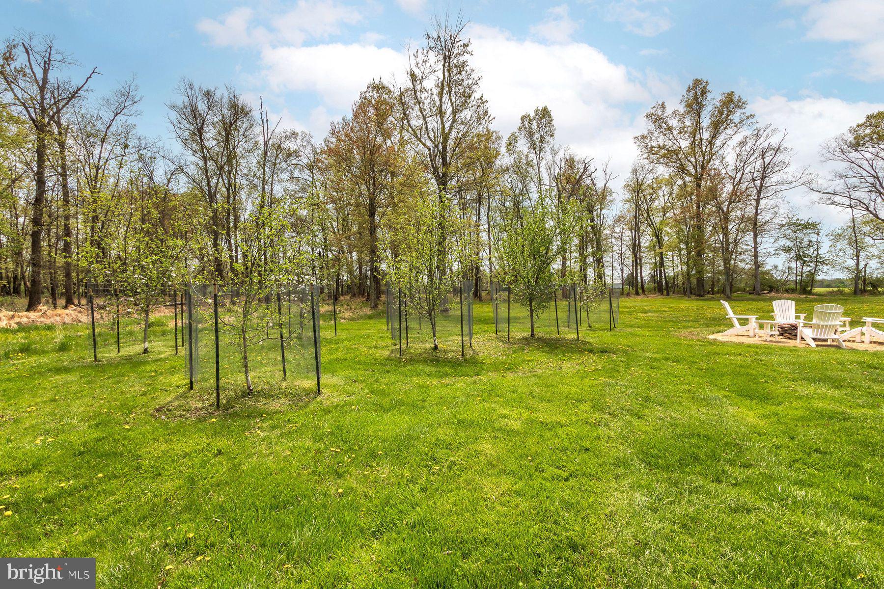 161 Dark Hollow Rd