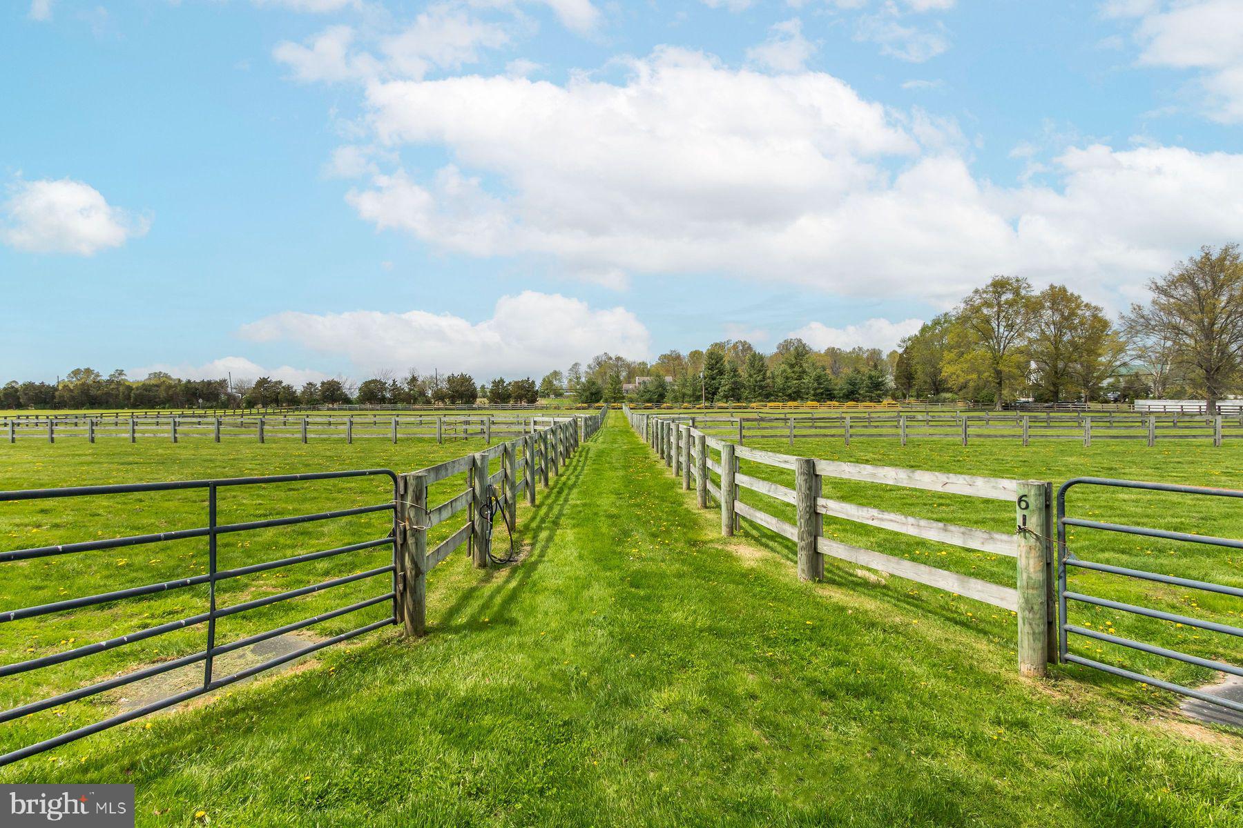 161 Dark Hollow Rd