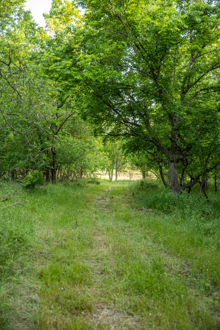 TBD SW CR 2349