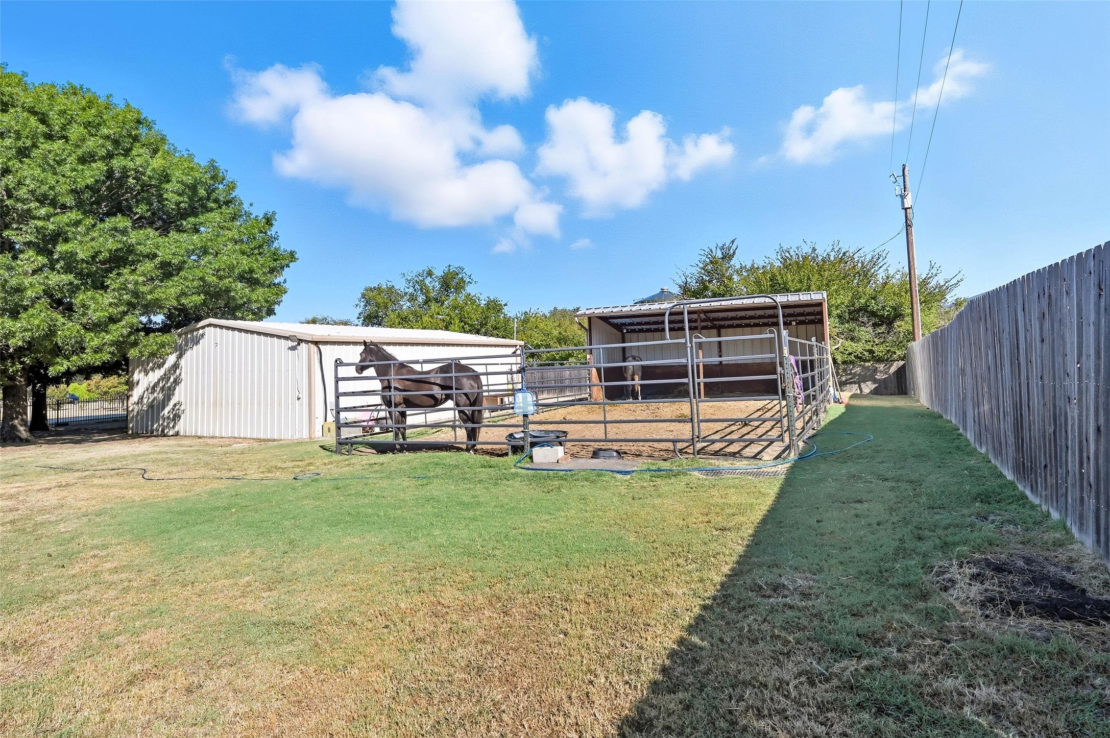 316 Appaloosa Street