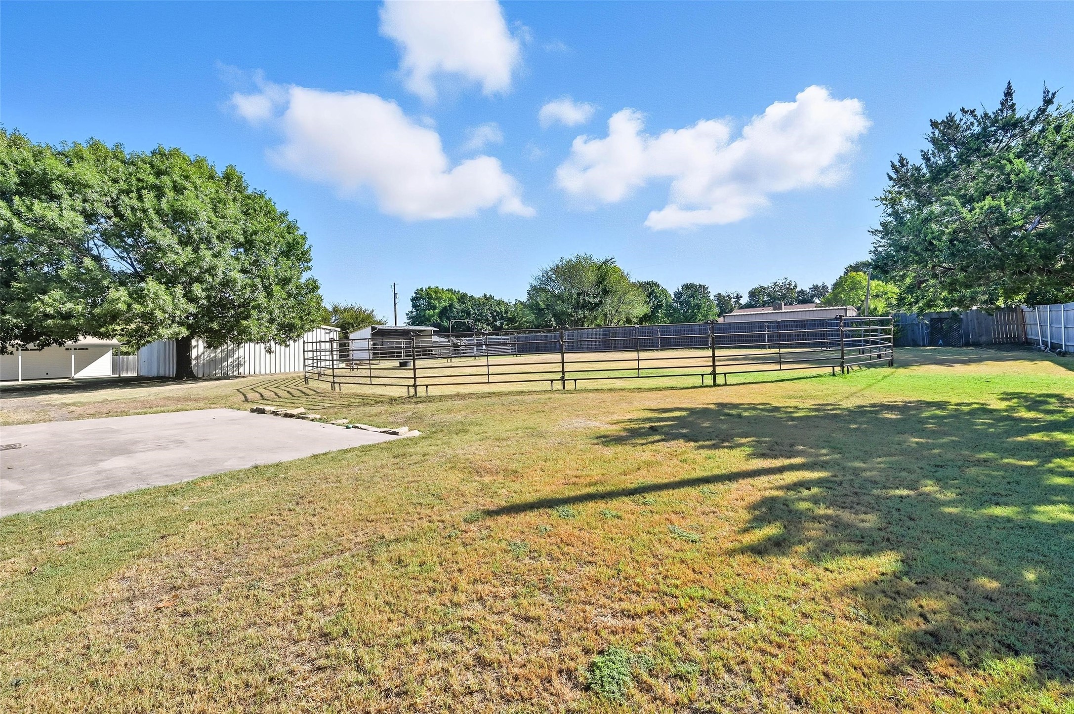 316 Appaloosa Street