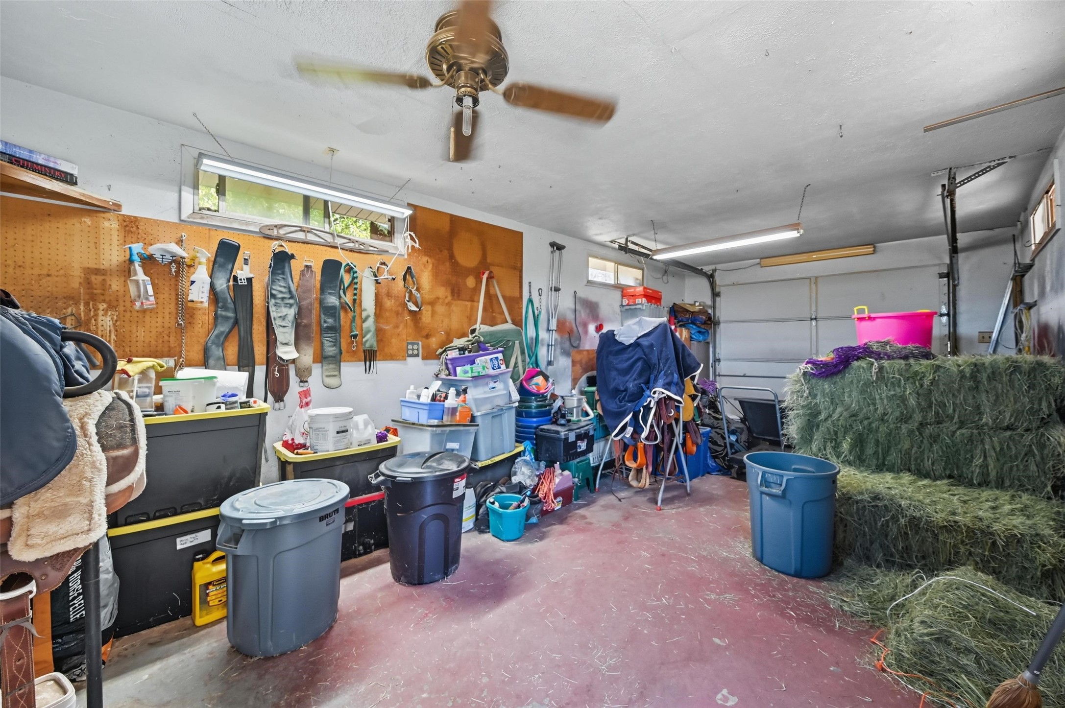 316 Appaloosa Street